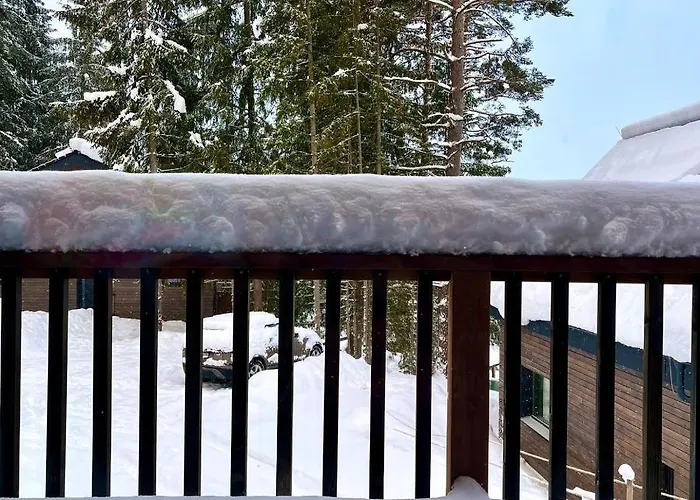 아파트 1-bedroom Adam With Free Parking 데마노브스카돌리나